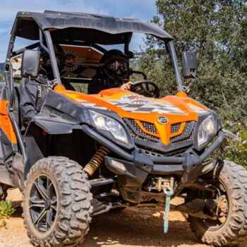 buggy
